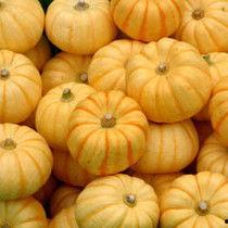 小桔瓜怎么吃,轻松解锁美味新体验